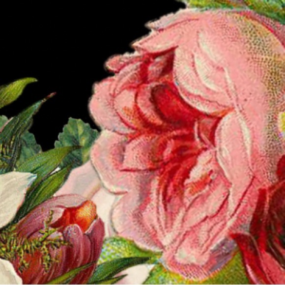 Meet your Posher, Nicole - Picture 1 of 1